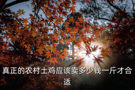 浙江咸雞多少錢一斤,山上放養的土雞多少錢一斤