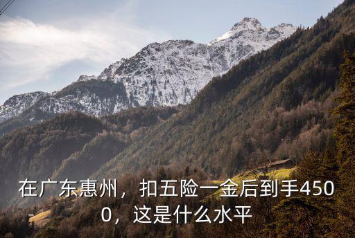 在廣東惠州，扣五險一金后到手4500，這是什么水平