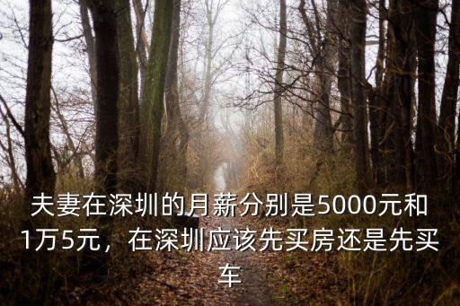 夫妻在深圳的月薪分別是5000元和1萬5元，在深圳應該先買房還是先買車
