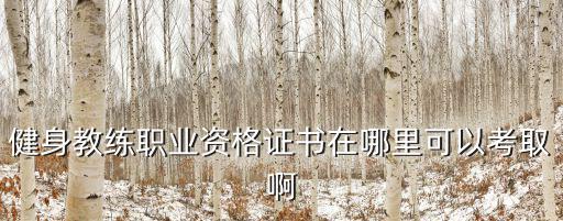 健身教練職業資格證書在哪里可以考取啊
