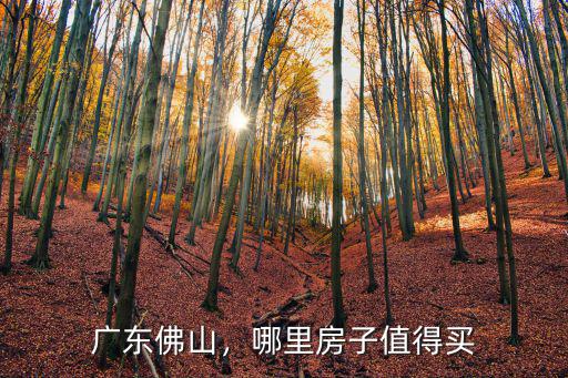 佛山哪里古老房子最多,哪里房子值得買
