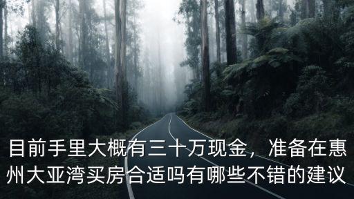 目前手里大概有三十萬現金，準備在惠州大亞灣買房合適嗎有哪些不錯的建議