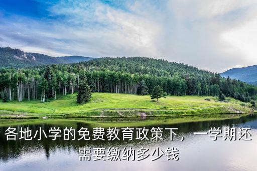 淄博小學一年交多少錢,現在上小學一年級要交多少錢
