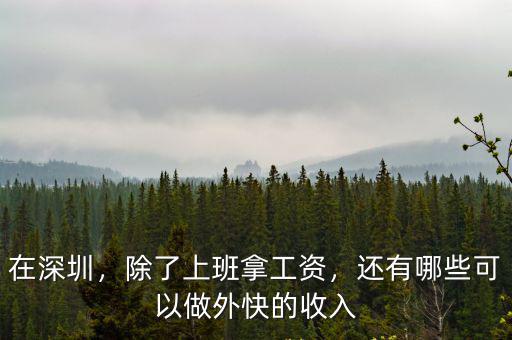 在深圳，除了上班拿工資，還有哪些可以做外快的收入