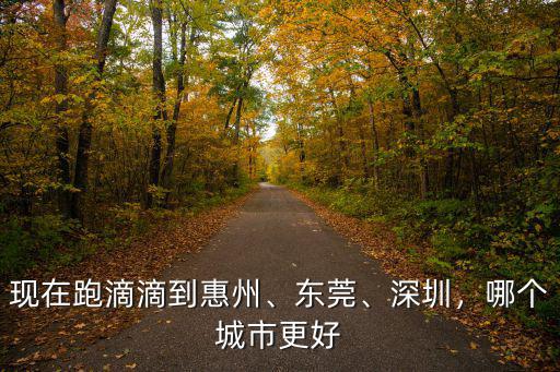 現在跑滴滴到惠州、東莞、深圳，哪個城市更好