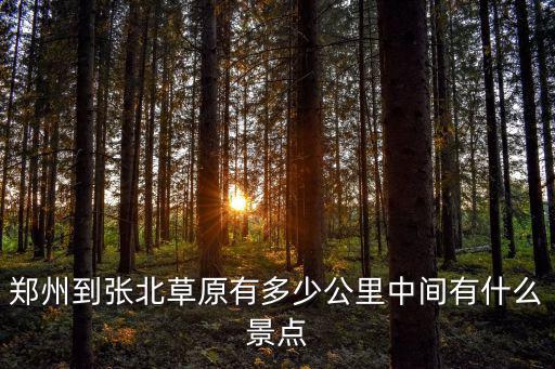 鄭州距德州有多少公里,鄭州到張北草原有多少公里
