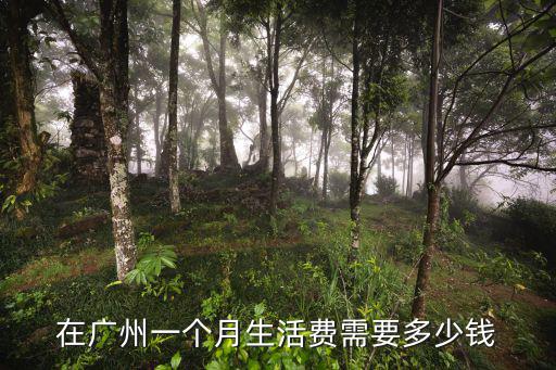你們在廣州一個月家庭開銷多少,在廣州做廣漂一族
