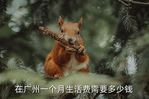 廣州一個月水費一般多少錢,100元水費