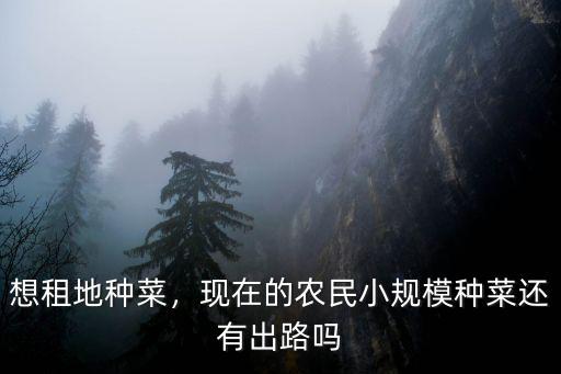 濟南租地種菜多少錢一畝,最少要租多少畝地合適