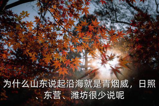 日照海邊到濰坊多少公里,濰坊和日照哪的海岸沙灘好