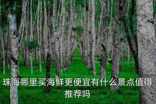 珠海哪里買海鮮更便宜有什么景點(diǎn)值得推薦嗎