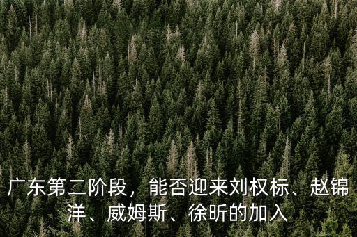 廣東第二階段，能否迎來劉權(quán)標(biāo)、趙錦洋、威姆斯、徐昕的加入