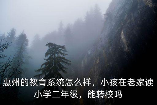 惠州的教育系統怎么樣，小孩在老家讀小學二年級，能轉校嗎