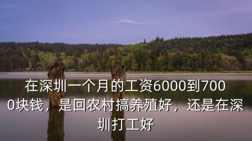 在深圳一個月的工資6000到7000塊錢，是回農村搞養殖好，還是在深圳打工好