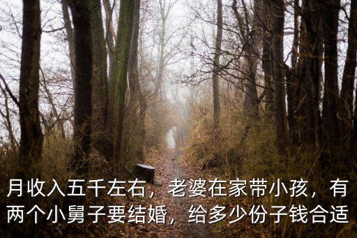 月收入五千左右，老婆在家?guī)『ⅲ袃蓚€(gè)小舅子要結(jié)婚，給多少份子錢合適