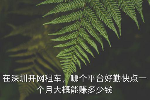 在深圳開網租車，哪個平臺好勤快點一個月大概能賺多少錢