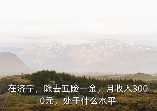 濟(jì)寧收入多少,在濟(jì)寧夫妻月收入多少