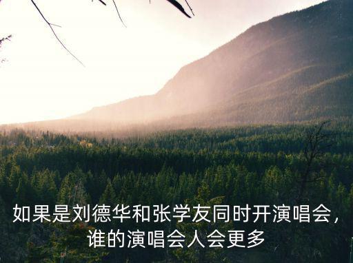 劉德華煙臺演唱會多少人,大家覺得誰的演唱會人會更多