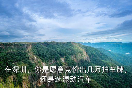 今年深圳6月車(chē)牌競(jìng)價(jià)是多少,你是愿意競(jìng)價(jià)出幾萬(wàn)拍車(chē)牌