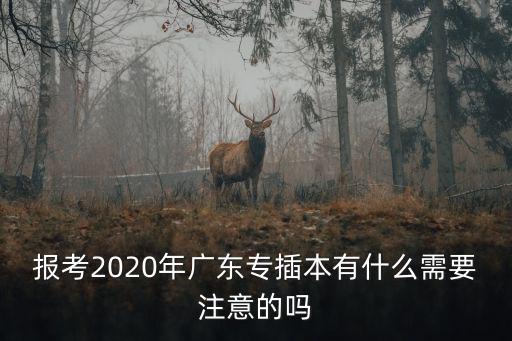 廣東專插本一般考多少分,專插本什么專業(yè)好考
