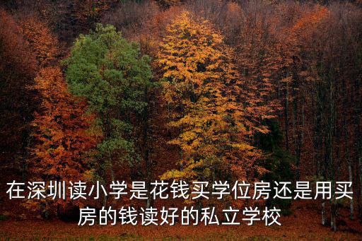 在深圳讀小學是花錢買學位房還是用買房的錢讀好的私立學校