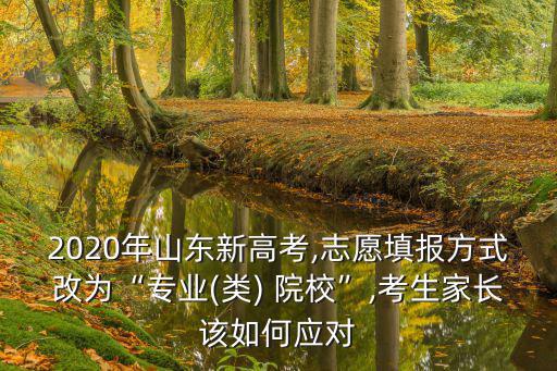 山東2020高考志愿填報能填多少個,2020年山東新高考