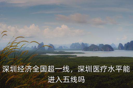 深圳經(jīng)濟(jì)全國超一線，深圳醫(yī)療水平能進(jìn)入五線嗎