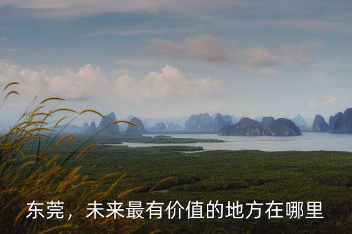 東莞，未來最有價值的地方在哪里