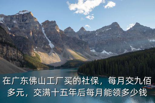 廣東社保15年后每月領多少錢,在廣東佛山工廠買的社保