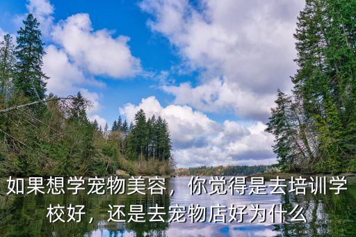 深圳寵物美容培訓學校怎么樣,圣寵寵物美容培訓學校怎么樣