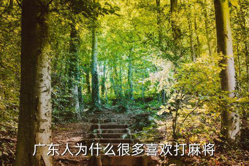 廣東人打麻將有多少,廣東人為什么很多喜歡打麻將