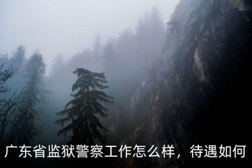 廣東省監(jiān)獄警察工作怎么樣，待遇如何