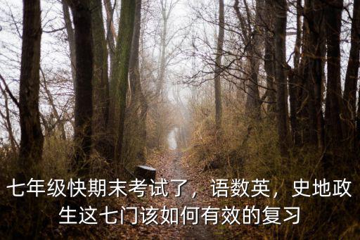 山東省七年級期末考試滿分是多少,七年級快期末考試了
