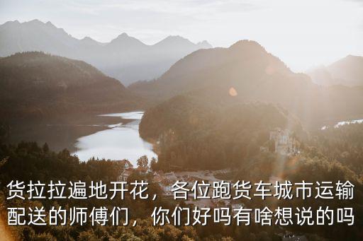 貨拉拉遍地開花，各位跑貨車城市運輸配送的師傅們，你們好嗎有啥想說的嗎