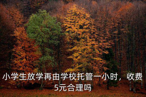 小學(xué)生放學(xué)再由學(xué)校托管一小時(shí)，收費(fèi)5元合理嗎