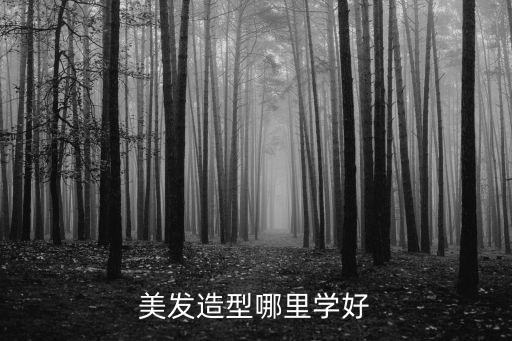 陽(yáng)江哪里有美發(fā)學(xué),美發(fā)造型哪里學(xué)好