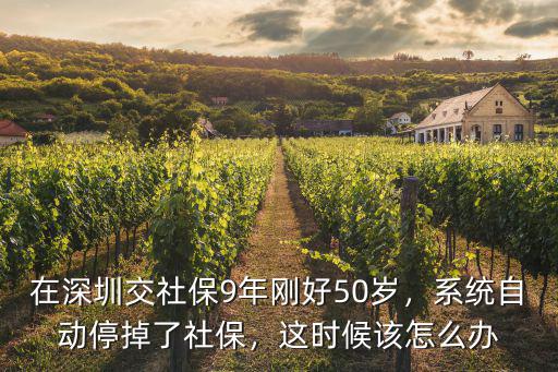 深圳社保斷了很多年怎么辦,深圳社保斷了怎么辦
