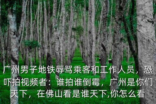 廣州男子地鐵辱罵乘客和工作人員，恐嚇拍視頻者：誰拍誰倒霉，廣州是你們天下，在佛山看是誰天下,你怎么看