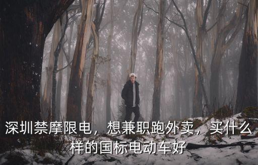 深圳禁摩限電，想兼職跑外賣，買什么樣的國標電動車好