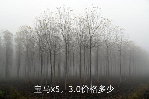 寶馬x5，3.0價(jià)格多少