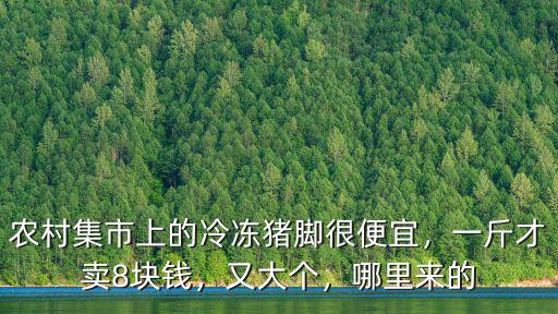 東莞的凍雞腿鴨腿在哪里買,其實不是雞的大腿部分