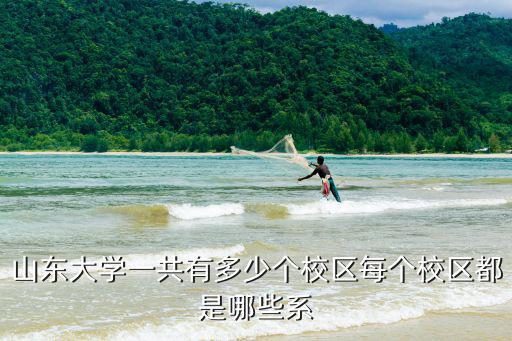 山東大學黃島校區有多少人,山東大學一共有多少個校區