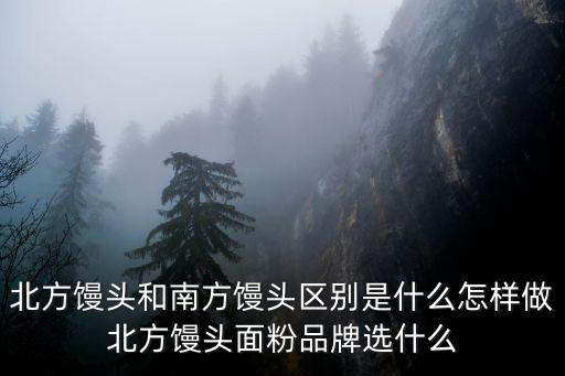 北方饅頭和南方饅頭區(qū)別是什么怎樣做北方饅頭面粉品牌選什么