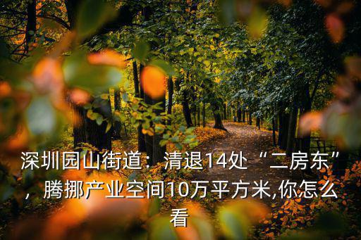 深圳園山街道怎么樣,深圳園山街道