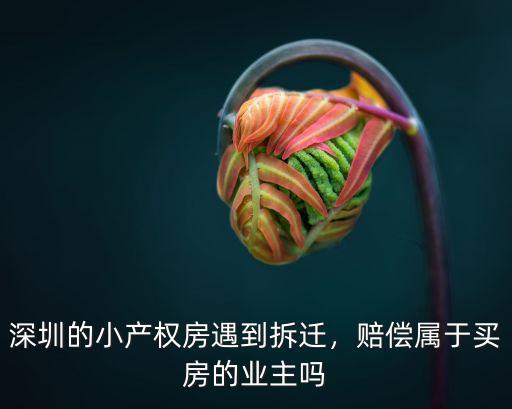 深圳棚改的錢從哪里來,他們的錢哪里來