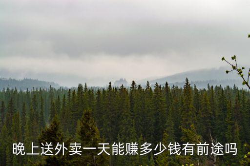 晚上送外賣一天能賺多少錢有前途嗎