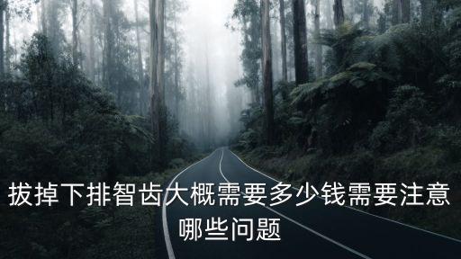 拔掉下排智齒大概需要多少錢需要注意哪些問題