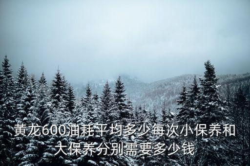 黃龍600油耗平均多少每次小保養(yǎng)和大保養(yǎng)分別需要多少錢