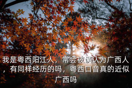 我是陽江人用陽江話怎么說,我是粵西陽江人