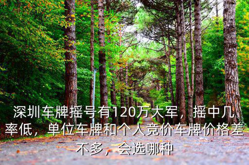 深圳車牌競價有多少個,深圳車牌搖號有120萬大軍